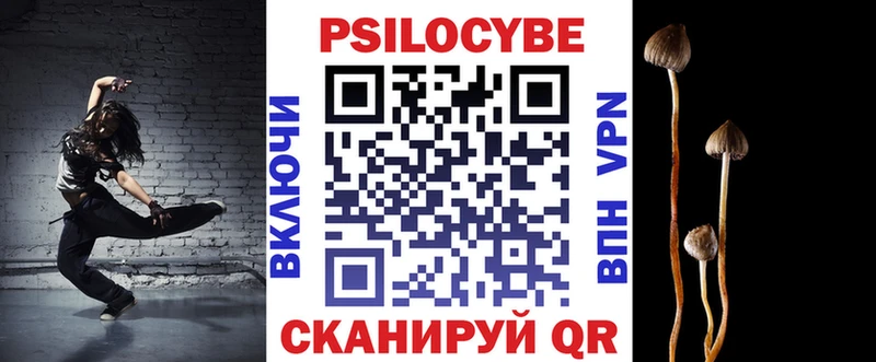 Купить закладки  Ветлуга  Галлюциногенные грибы MAGIC MUSHROOMS 